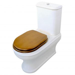 CHARME Set: monoblock toilet with universal outlet, tank with button